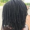 wigstall